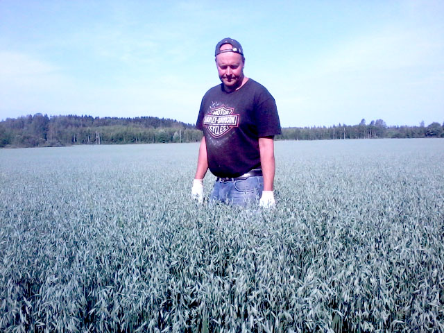 芬兰谷物和神奇的“粮食护照”